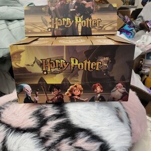 Harry Potter Themed Box Set